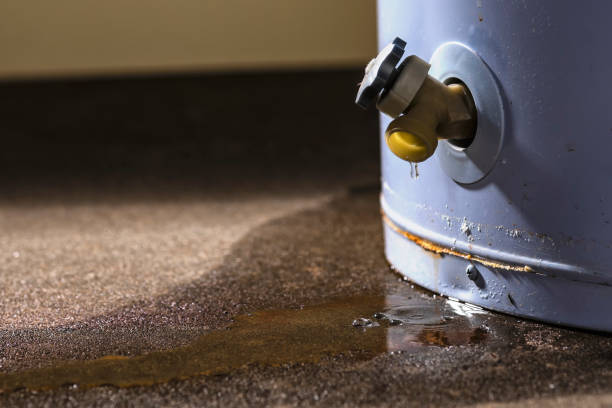  Collinwood, TN Water damage restoration Pros