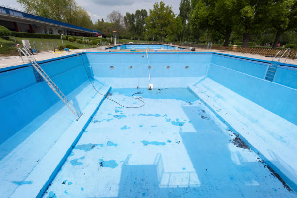 Best Sewage cleanup and water damage restoration  in Collinwood, TN