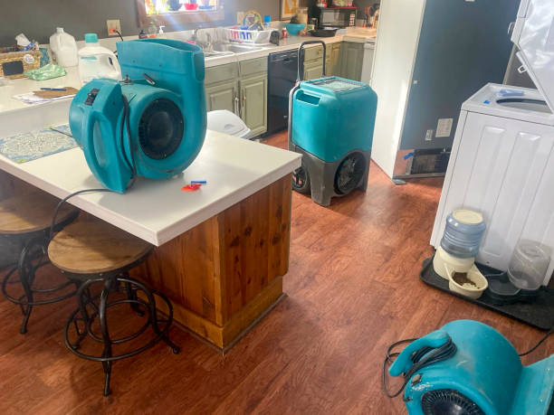 Best Commercial water damage restoration  in Collinwood, TN