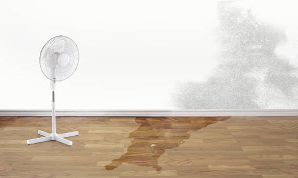 Best Flood restoration services  in Collinwood, TN