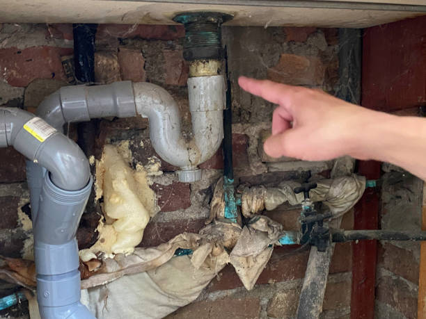 Best Flooded house restoration  in Collinwood, TN